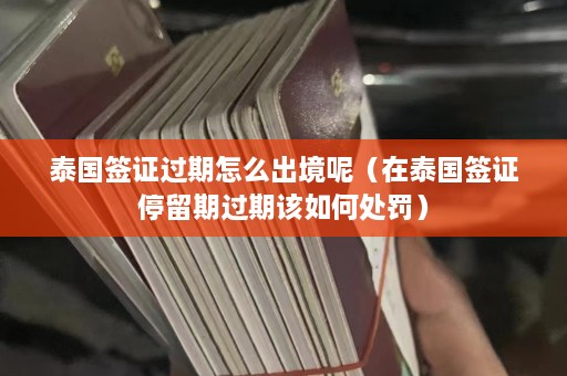 泰国签证过期怎么出境呢（在泰国签证停留期过期该如何处罚）  第1张