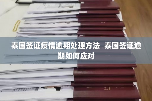 泰国签证疫情逾期处理方法  泰国签证逾期如何应对 第1张