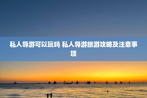 私人导游可以玩吗 私人导游旅游攻略及注意事项