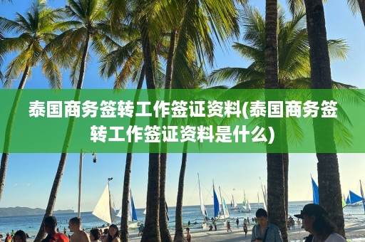 泰国商务签转工作签证资料(泰国商务签转工作签证资料是什么)  第1张