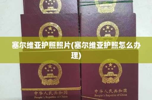 塞尔维亚护照照片(塞尔维亚护照怎么办理)  第1张