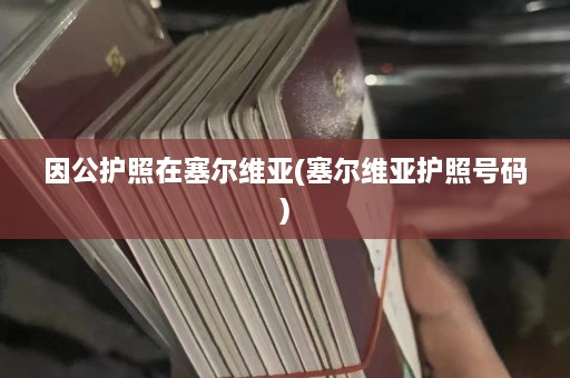 因公护照在塞尔维亚(塞尔维亚护照号码)  第1张