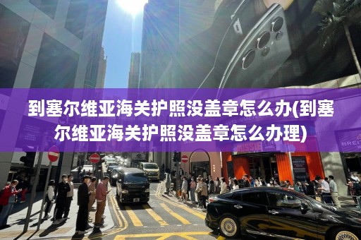 到塞尔维亚海关护照没盖章怎么办(到塞尔维亚海关护照没盖章怎么办理)