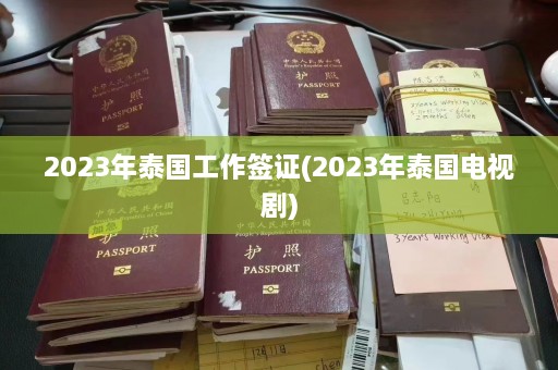 2023年泰国工作签证(2023年泰国电视剧)  第1张