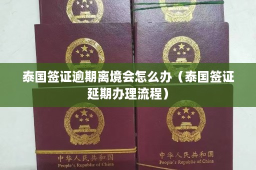 泰国签证逾期离境会怎么办（泰国签证延期办理流程）  第1张