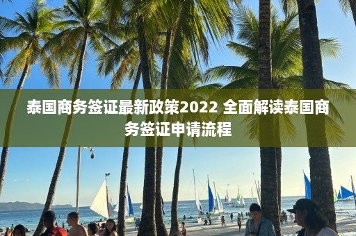 泰国商务签证最新政策2022 全面解读泰国商务签证申请流程