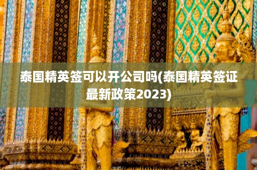 泰国精英签可以开公司吗(泰国精英签证最新政策2023)