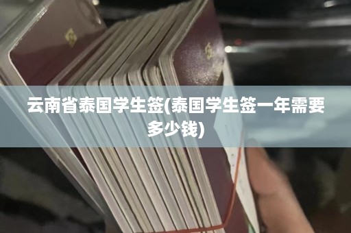 云南省泰国学生签(泰国学生签一年需要多少钱)