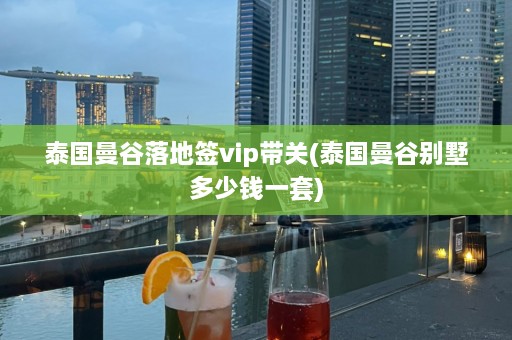 泰国曼谷落地签vip带关(泰国曼谷别墅多少钱一套)