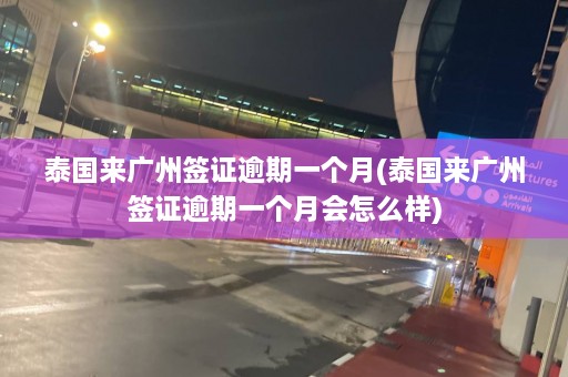 泰国来广州签证逾期一个月(泰国来广州签证逾期一个月会怎么样)  第1张