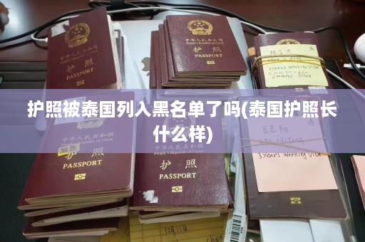 护照被泰国列入黑名单了吗(泰国护照长什么样)