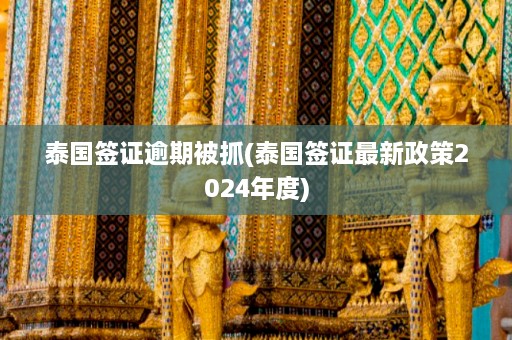 泰国签证逾期被抓(泰国签证最新政策2024年度)  第1张