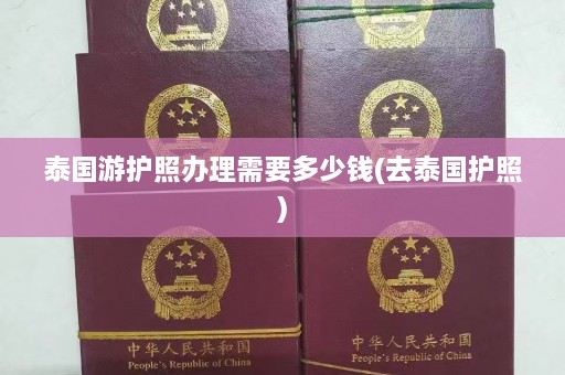 泰国游护照办理需要多少钱(去泰国护照)