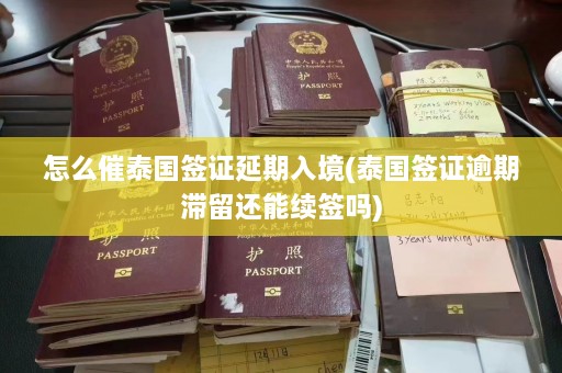 怎么催泰国签证延期入境(泰国签证逾期滞留还能续签吗)  第1张