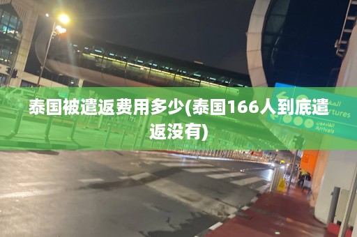 泰国被遣返费用多少(泰国166人到底遣返没有)