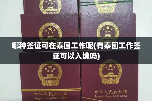 哪种签证可在泰国工作呢(有泰国工作签证可以入境吗)  第1张