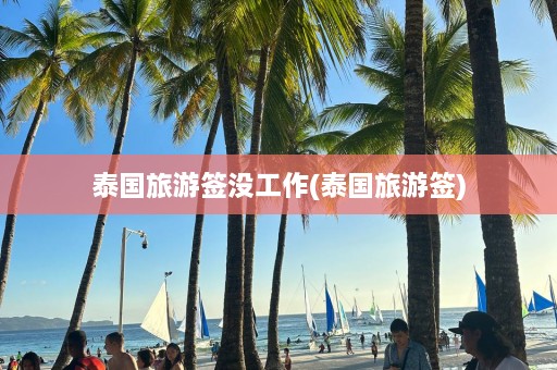 泰国旅游签没工作(泰国旅游签)  第1张