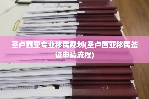 圣卢西亚专业移民规划(圣卢西亚移民签证申请流程)