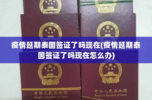 疫情延期泰国签证了吗现在(疫情延期泰国签证了吗现在怎么办)  第1张