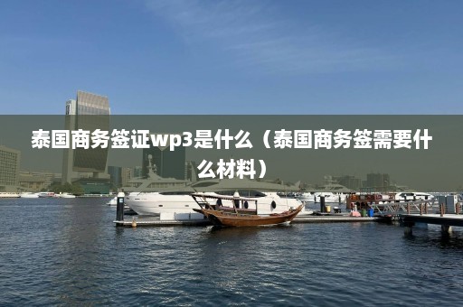 泰国商务签证wp3是什么（泰国商务签需要什么材料）  第1张