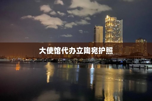 大使馆代办立陶宛护照