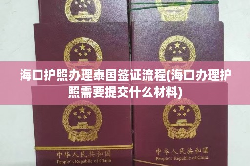 海口护照办理泰国签证流程(海口办理护照需要提交什么材料)