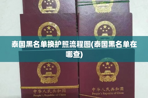 泰国黑名单换护照流程图(泰国黑名单在哪查)