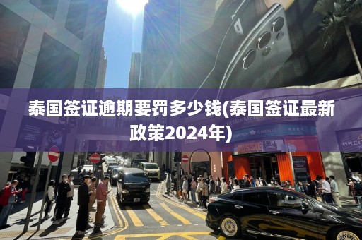 泰国签证逾期要罚多少钱(泰国签证最新政策2024年)  第1张