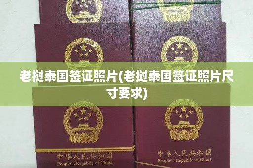 老挝泰国签证照片(老挝泰国签证照片尺寸要求)  第1张