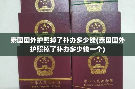 泰国国外护照掉了补办多少钱(泰国国外护照掉了补办多少钱一个)