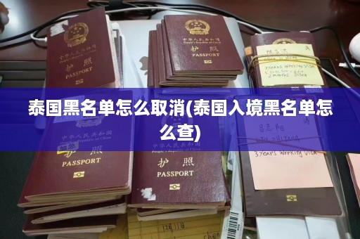 泰国黑名单怎么取消(泰国入境黑名单怎么查)