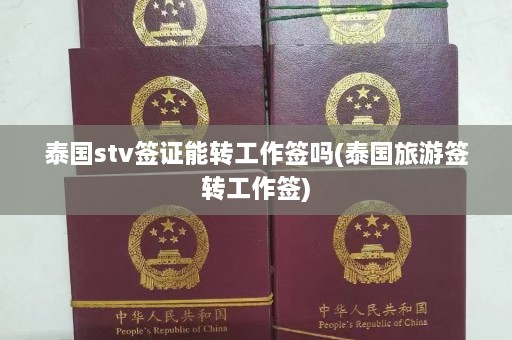 泰国stv签证能转工作签吗(泰国旅游签转工作签)  第1张