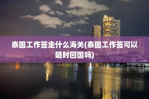 泰国工作签走什么海关(泰国工作签可以随时回国吗)