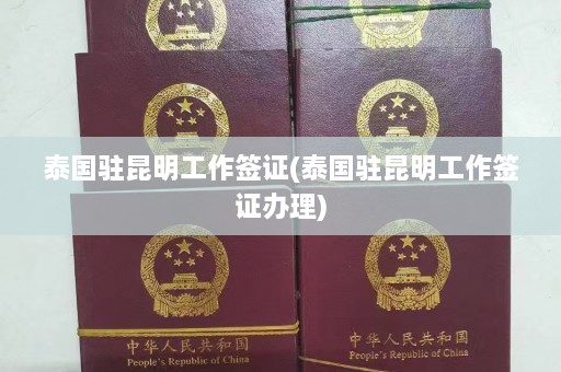 泰国驻昆明工作签证(泰国驻昆明工作签证办理)  第1张