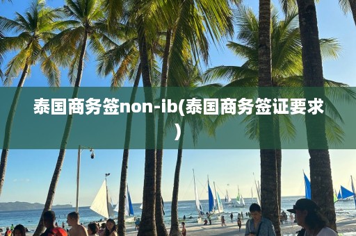 泰国商务签non-ib(泰国商务签证要求)  第1张