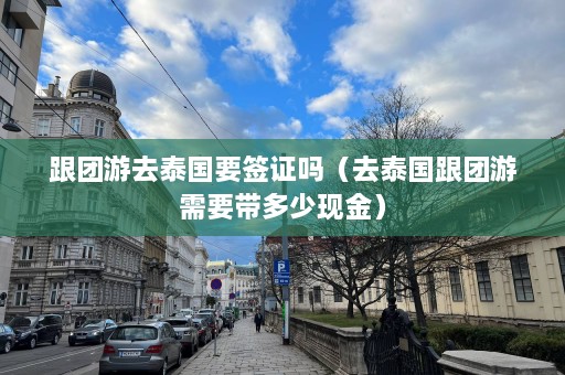 跟团游去泰国要签证吗（去泰国跟团游需要带多少现金）