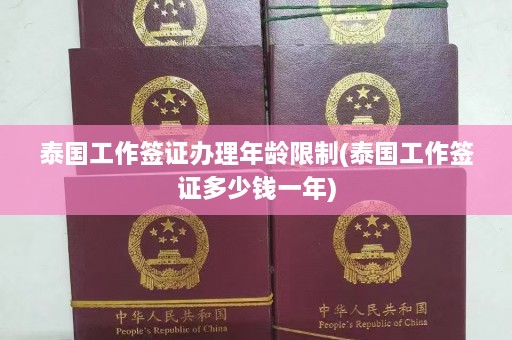 泰国工作签证办理年龄限制(泰国工作签证多少钱一年)  第1张