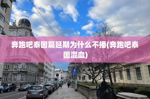 奔跑吧泰国篇延期为什么不播(奔跑吧泰国混血)