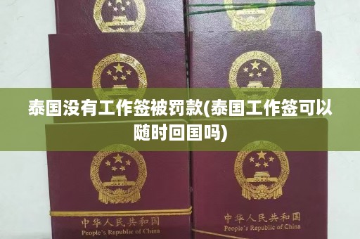 泰国没有工作签被罚款(泰国工作签可以随时回国吗)