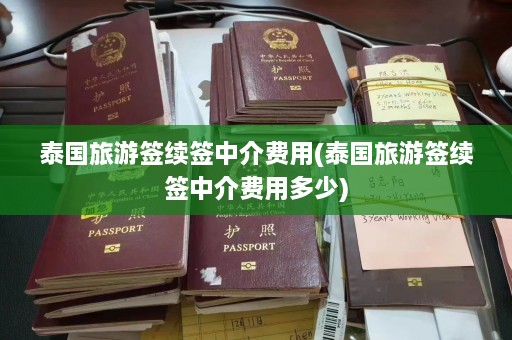 泰国旅游签续签中介费用(泰国旅游签续签中介费用多少)  第1张