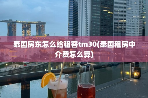 泰国房东怎么给租客tm30(泰国租房中介费怎么算)  第1张