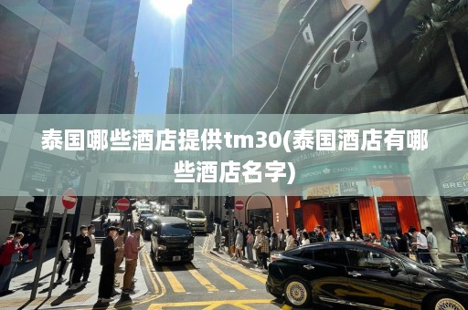 泰国哪些酒店提供tm30(泰国酒店有哪些酒店名字)  第1张