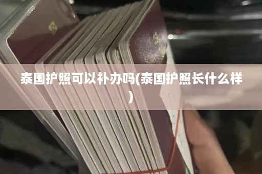 泰国护照可以补办吗(泰国护照长什么样)