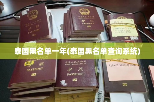 泰国黑名单一年(泰国黑名单查询系统)