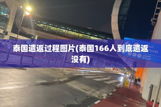 泰国遣返过程图片(泰国166人到底遣返没有)  第1张