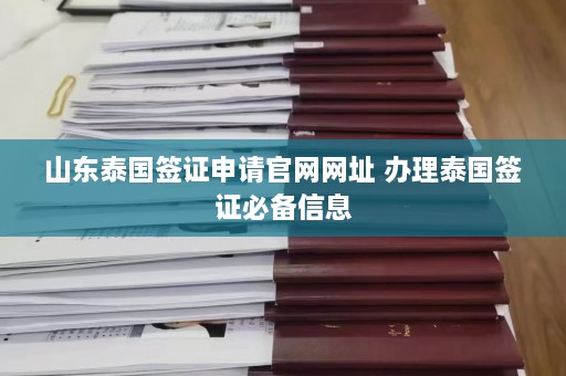 山东泰国签证申请官网网址 办理泰国签证必备信息  第1张