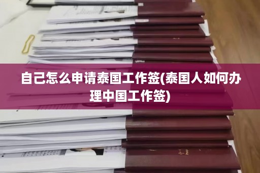 自己怎么申请泰国工作签(泰国人如何办理中国工作签)  第1张