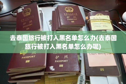 去泰国旅行被打入黑名单怎么办(去泰国旅行被打入黑名单怎么办呢)  第1张