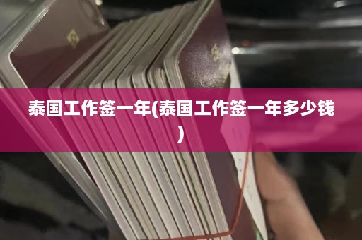 泰国工作签一年(泰国工作签一年多少钱)  第1张