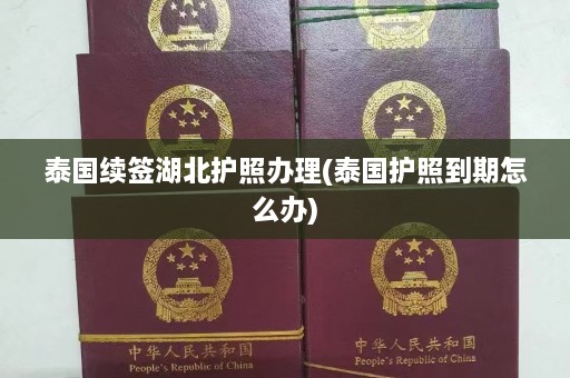 泰国续签湖北护照办理(泰国护照到期怎么办)